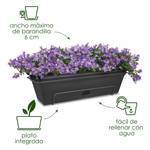 green basics trough allin1 50cm mild terra